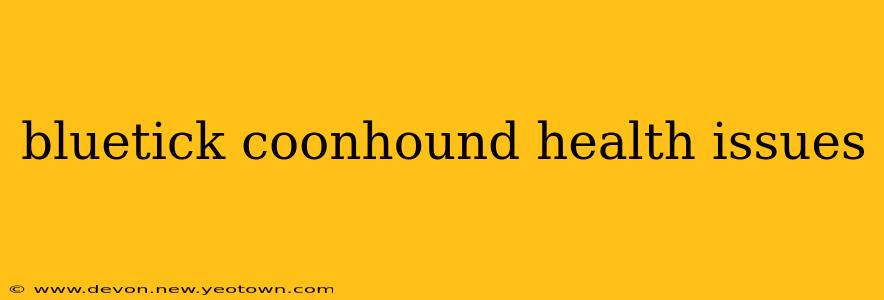 bluetick coonhound health issues