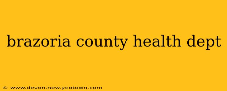 brazoria county health dept