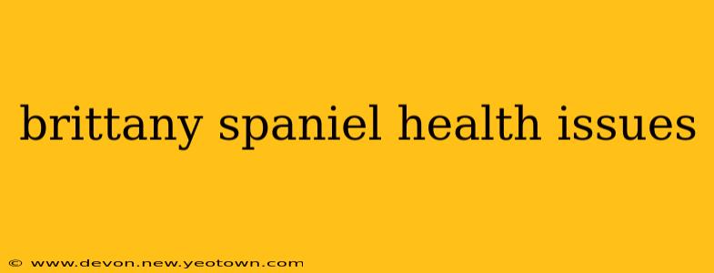 brittany spaniel health issues