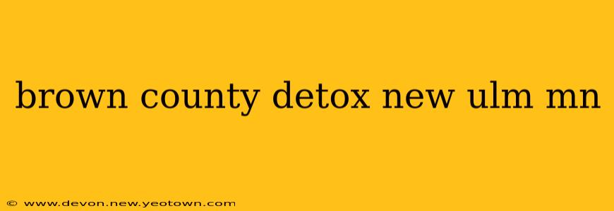 brown county detox new ulm mn