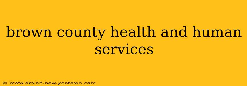 brown county health and human services