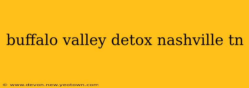 buffalo valley detox nashville tn