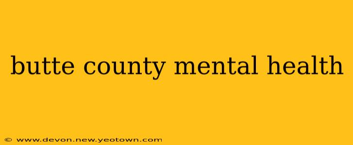 butte county mental health
