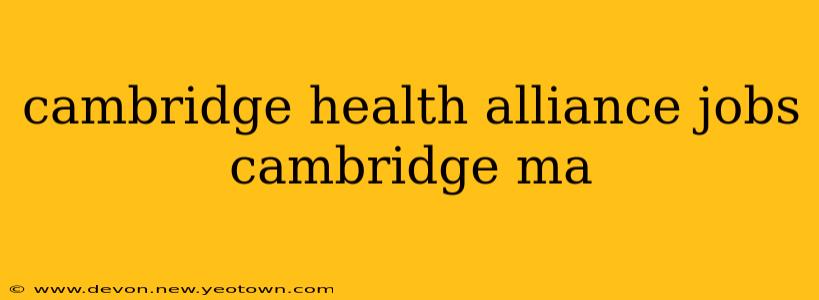 cambridge health alliance jobs cambridge ma