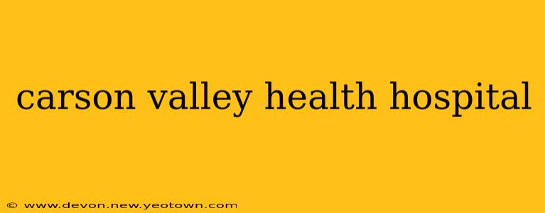 carson valley health hospital