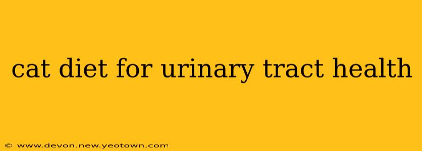 cat diet for urinary tract health