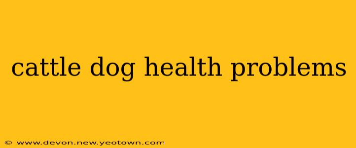 cattle dog health problems