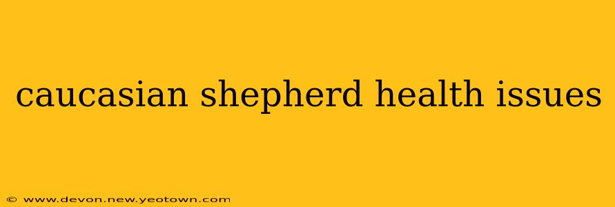 caucasian shepherd health issues