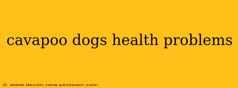 cavapoo dogs health problems