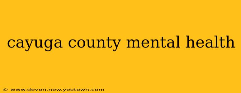 cayuga county mental health