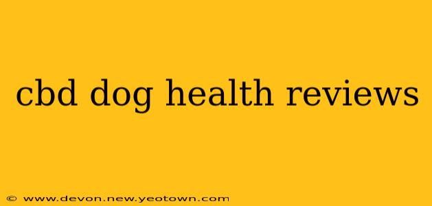 cbd dog health reviews