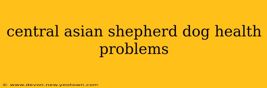 central asian shepherd dog health problems