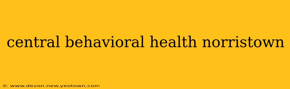 central behavioral health norristown