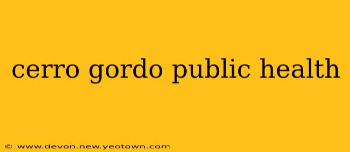 cerro gordo public health