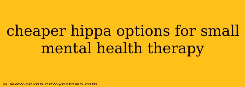 cheaper hippa options for small mental health therapy
