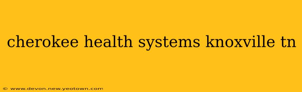 cherokee health systems knoxville tn