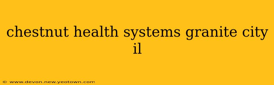 chestnut health systems granite city il