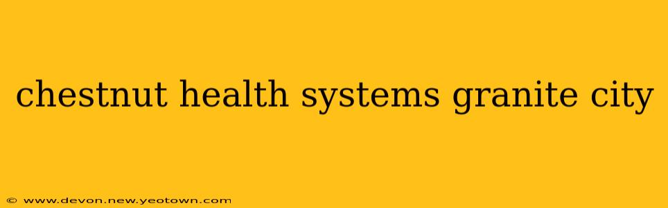 chestnut health systems granite city