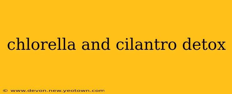 chlorella and cilantro detox