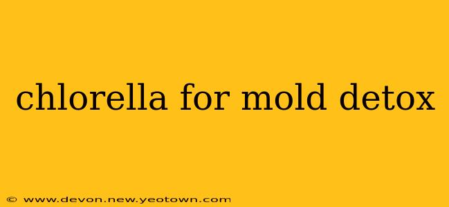 chlorella for mold detox