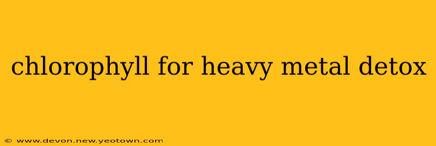 chlorophyll for heavy metal detox