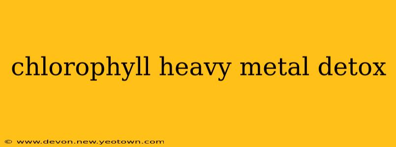 chlorophyll heavy metal detox