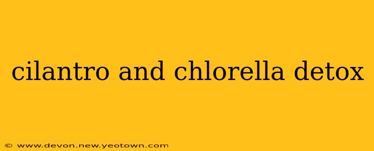 cilantro and chlorella detox