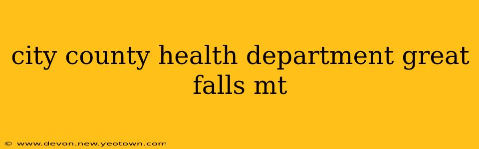 city county health department great falls mt