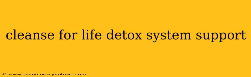 cleanse for life detox system support