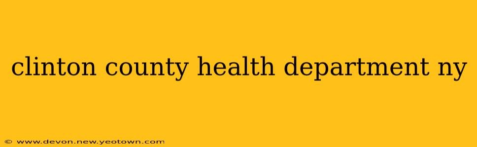 clinton county health department ny