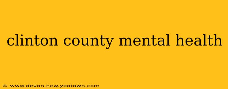 clinton county mental health