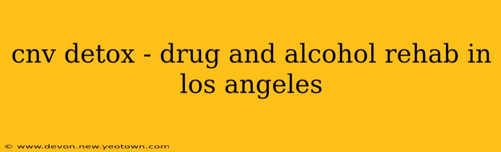 cnv detox - drug and alcohol rehab in los angeles