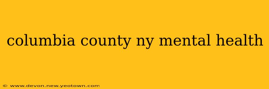 columbia county ny mental health