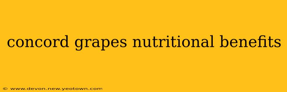 concord grapes nutritional benefits
