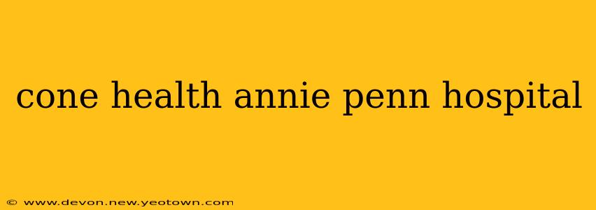 cone health annie penn hospital