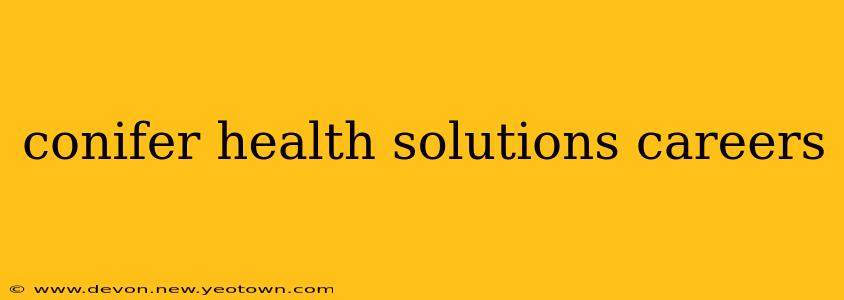 conifer health solutions careers