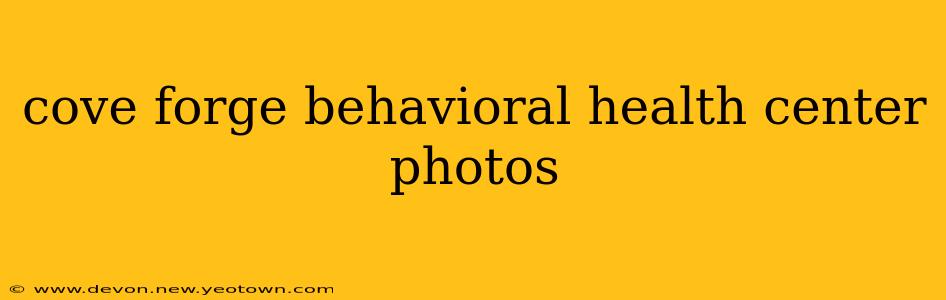 cove forge behavioral health center photos