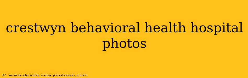 crestwyn behavioral health hospital photos