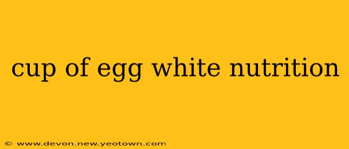 cup of egg white nutrition