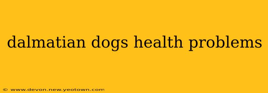 dalmatian dogs health problems