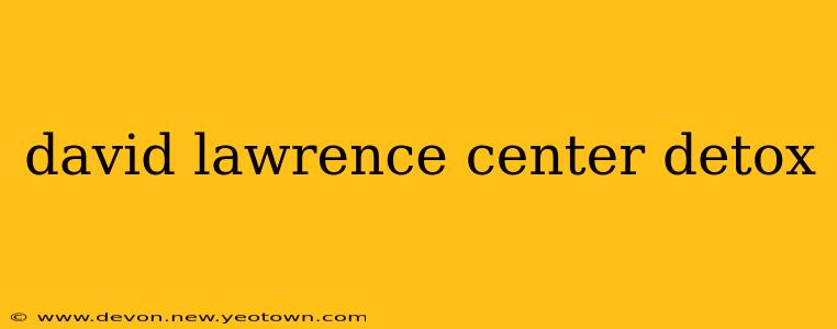 david lawrence center detox