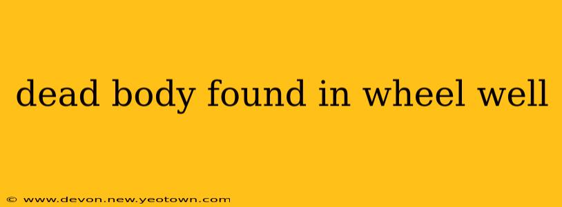 dead body found in wheel well