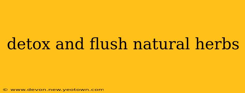 detox and flush natural herbs