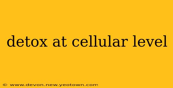 detox at cellular level