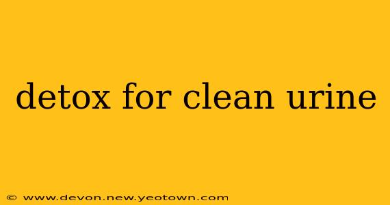 detox for clean urine