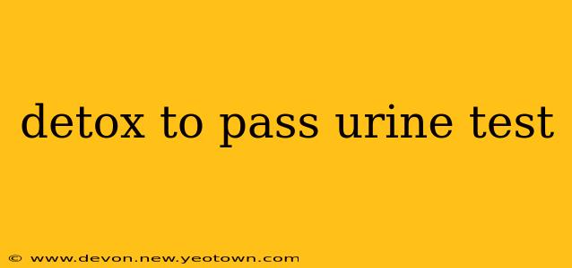 detox to pass urine test
