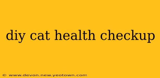 diy cat health checkup