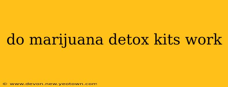 do marijuana detox kits work