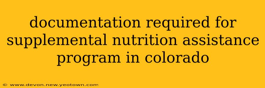 documentation required for supplemental nutrition assistance program in colorado