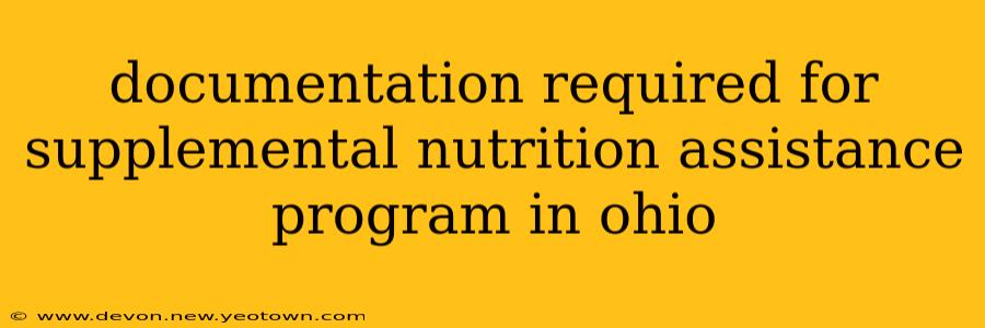 documentation required for supplemental nutrition assistance program in ohio